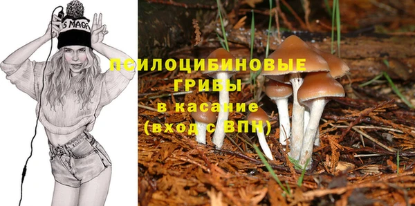 стаф Алексин