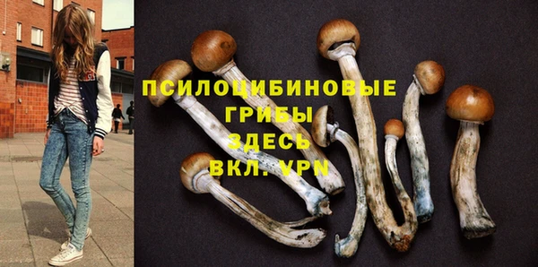 МДПВ Алзамай