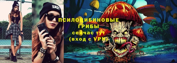 стаф Алексин