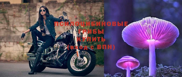 тгк Алексеевка