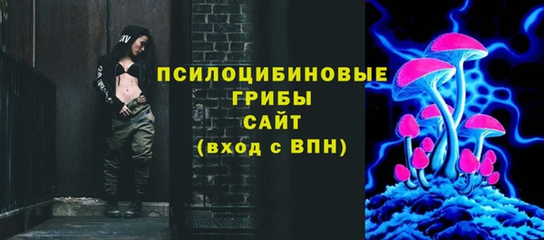 МДПВ Алзамай