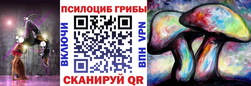Галлюциногенные грибы Psilocybe  Новая Ляля 